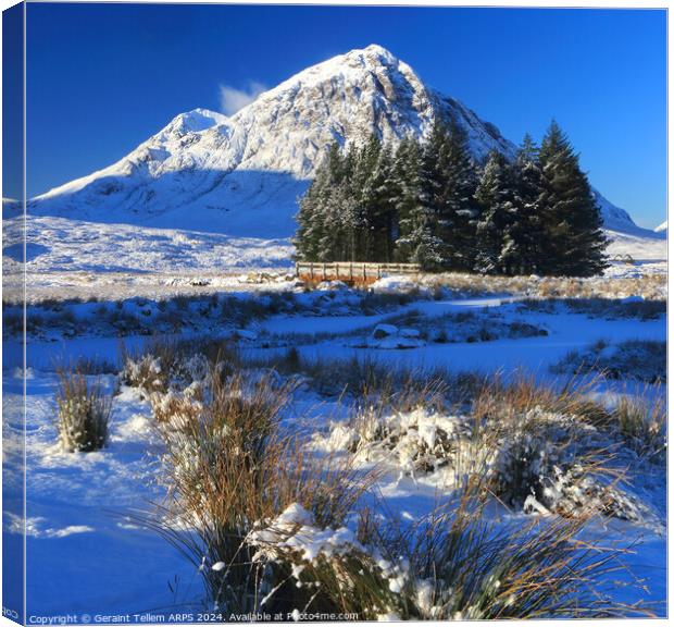 Buachaille Etive Mor in winter, Rannoch Moor, Highland, Scotland, UK Canvas Print by Geraint Tellem ARPS