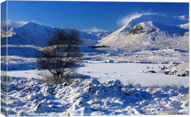 Rannoch Moor in winter snow, Highland, Scotland, UK Canvas Print by Geraint Tellem ARPS