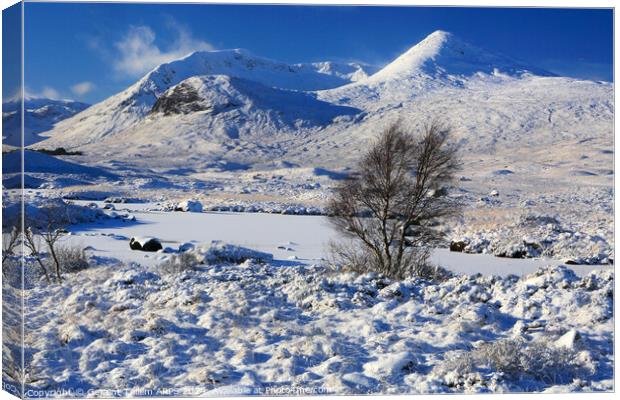 Rannoch Moor in winter snow, Highland, Scotland, UK Canvas Print by Geraint Tellem ARPS