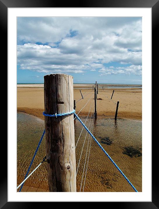 Sea Defence Framed Mounted Print by Laura McGlinn Photog
