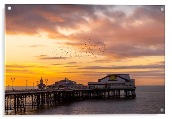 Blackpool Sunset Starling murmuration  Acrylic by chris smith