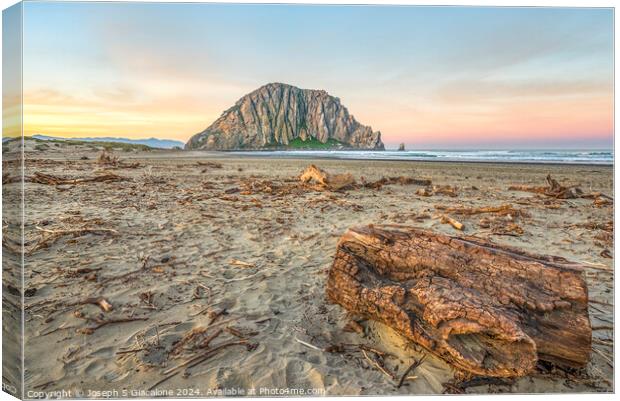 From Driftwood To Morro Rock Canvas Print by Joseph S Giacalone