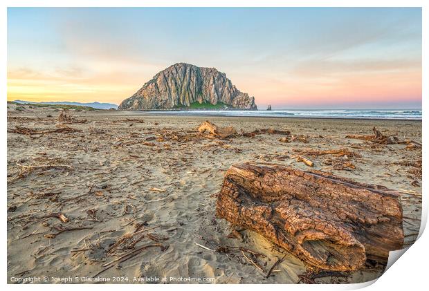 From Driftwood To Morro Rock Print by Joseph S Giacalone