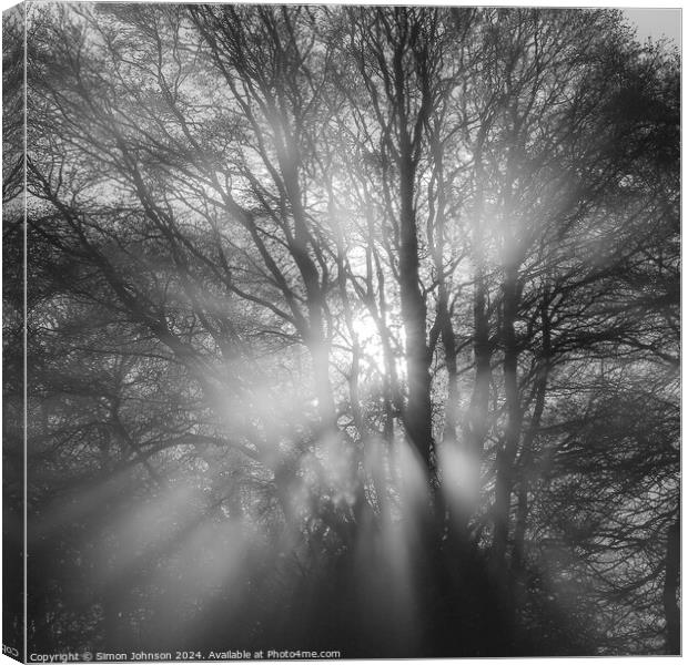 Sun burst in the woods Canvas Print by Simon Johnson
