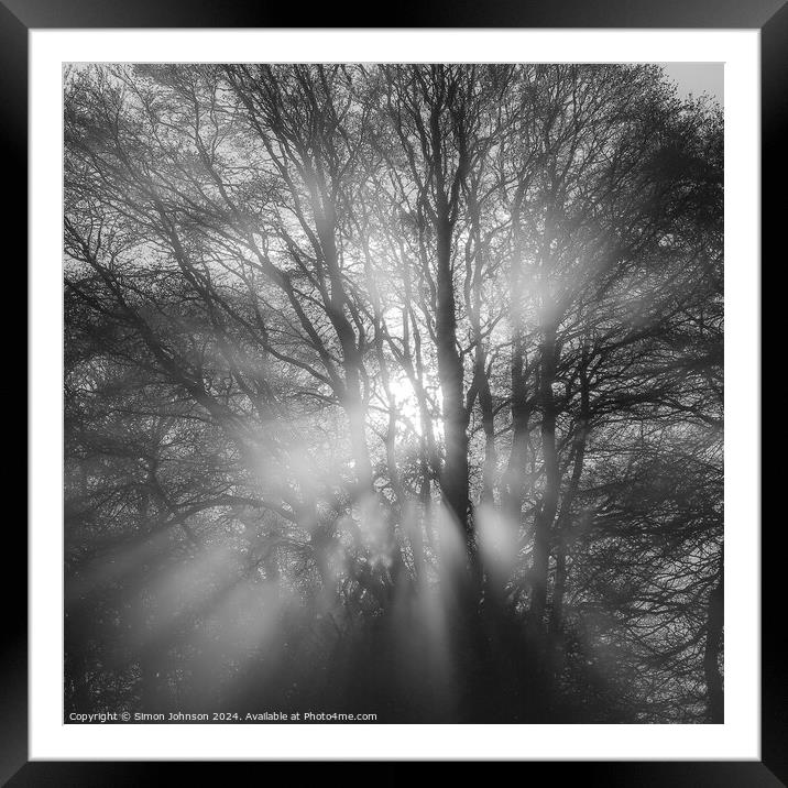 Sun burst in the woods Framed Mounted Print by Simon Johnson
