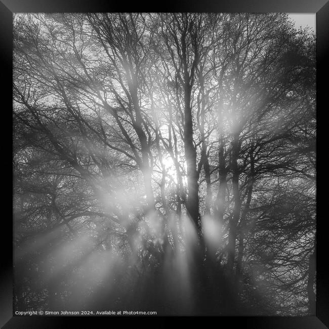 Sun burst in the woods Framed Print by Simon Johnson