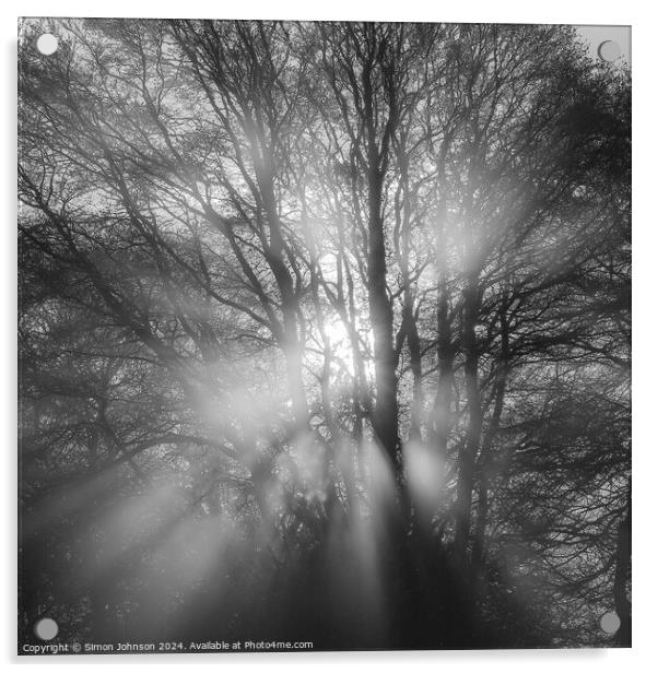 Sun burst in the woods Acrylic by Simon Johnson