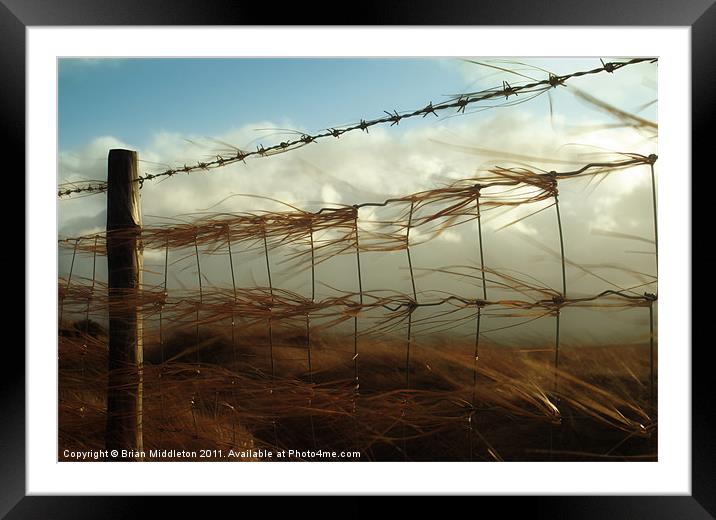 The Fence Framed Mounted Print by Brian Middleton