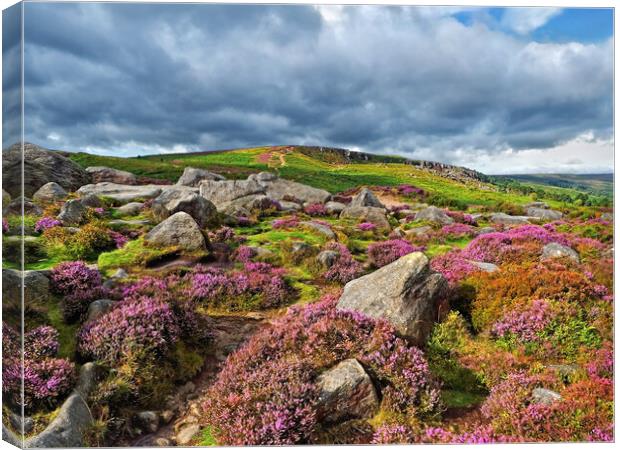 Ilkley Moor and Crags Canvas Print by Darren Galpin