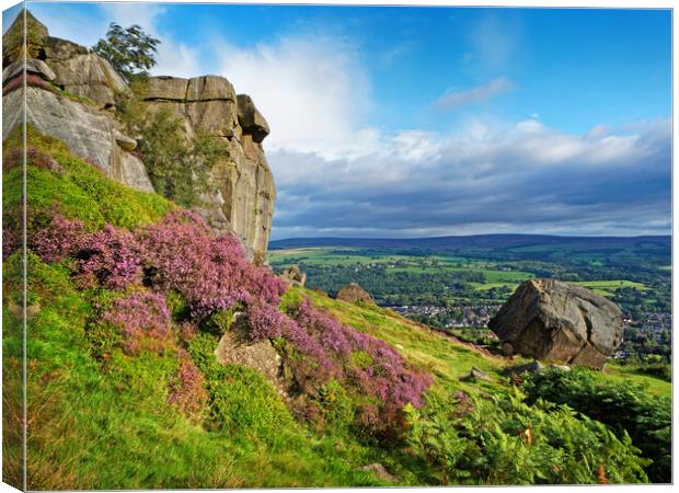 The Cow and Calf Rocks, Ilkley Canvas Print by Darren Galpin