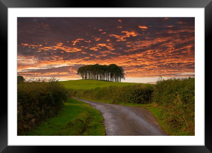 Nearly Home Trees, Coming home trees, Cornwall trees  Framed Mounted Print by kathy white