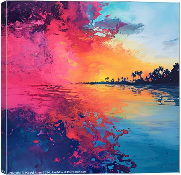 Sunset in the Tropics Canvas Print by Harold Ninek