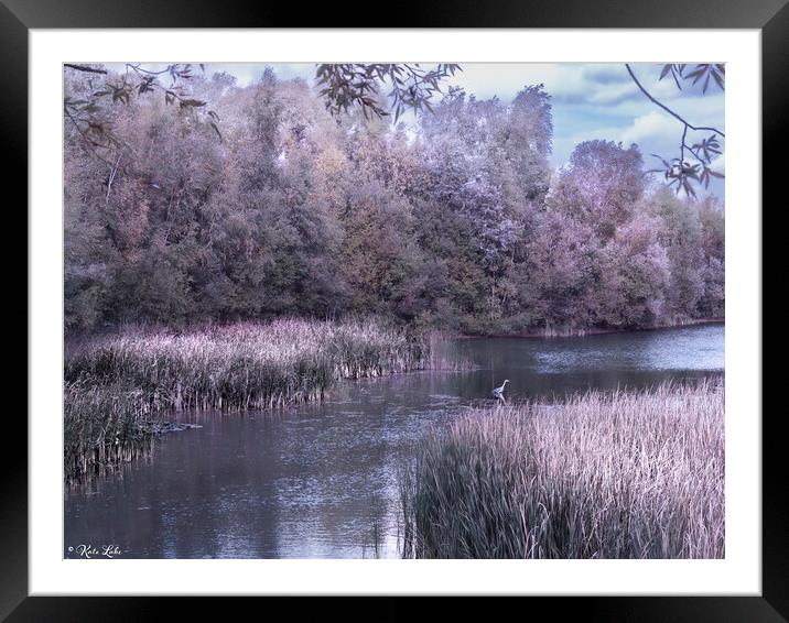 Heron at Leybourne Lakes Framed Mounted Print by Kate Lake