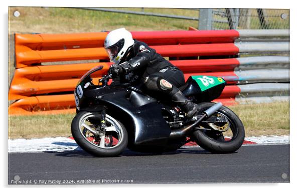 Yamaha Past Masters  - Yamaha TZR250 Racing. Acrylic by Ray Putley