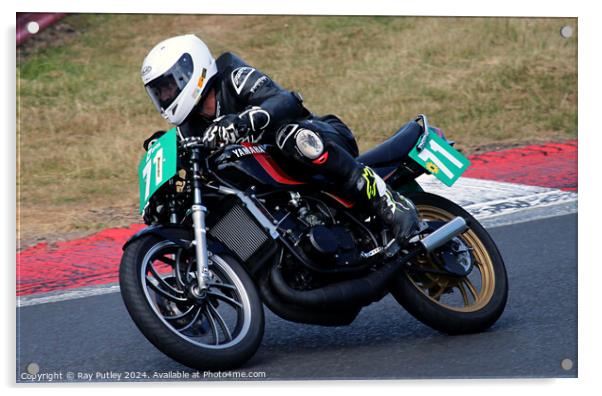 Yamaha Past Masters  - Yamaha TZR250 Racing. Acrylic by Ray Putley