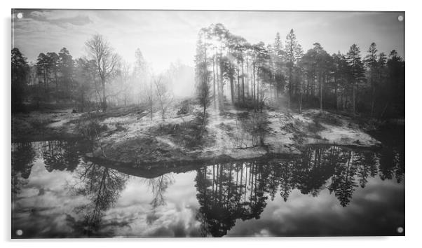 Misty Sunrise Tarn Hows Acrylic by Tim Hill