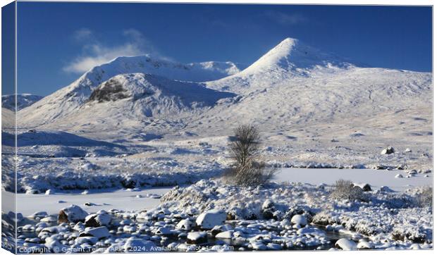 Rannoch Moor, Highland, Scotland in winter Canvas Print by Geraint Tellem ARPS