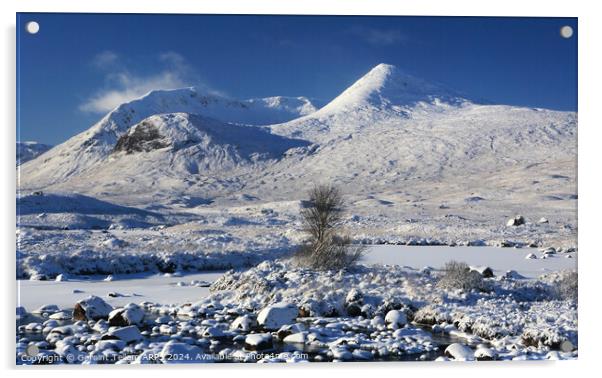 Rannoch Moor, Highland, Scotland in winter Acrylic by Geraint Tellem ARPS