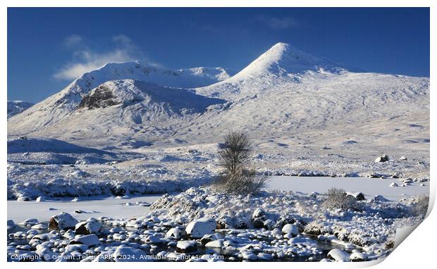 Rannoch Moor, Highland, Scotland in winter Print by Geraint Tellem ARPS