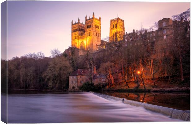 Durham Cathedral above River Wear Canvas Print by Tim Hill