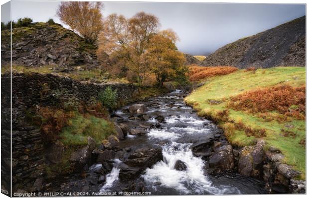 Torver beck in the Autumn 1046 Canvas Print by PHILIP CHALK