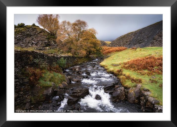 Torver beck in the Autumn 1046 Framed Mounted Print by PHILIP CHALK