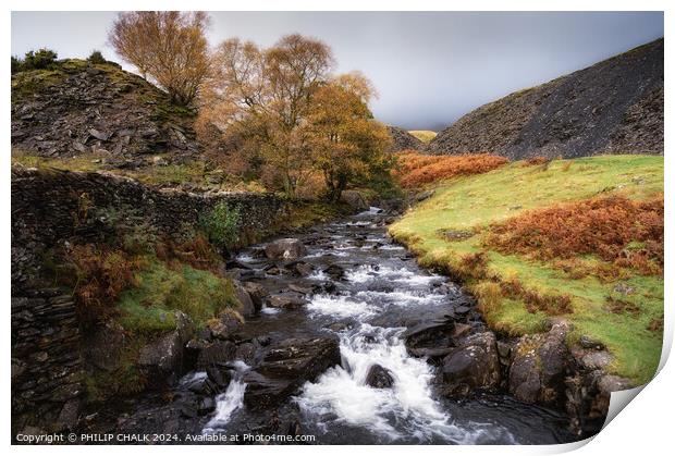 Torver beck in the Autumn 1046 Print by PHILIP CHALK