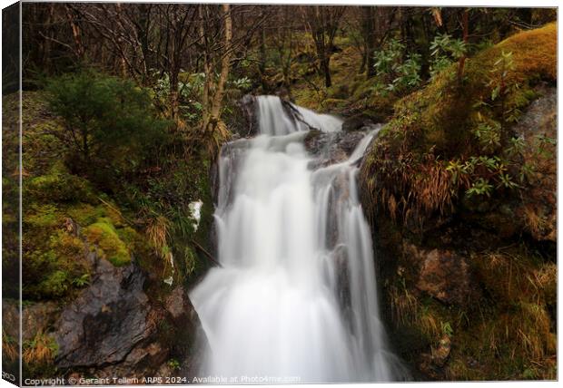 Waterfall, Assynt, Highland, Scotland Canvas Print by Geraint Tellem ARPS