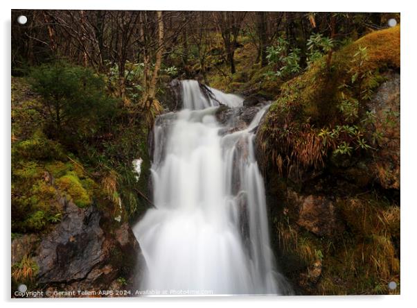 Waterfall, Assynt, Highland, Scotland Acrylic by Geraint Tellem ARPS