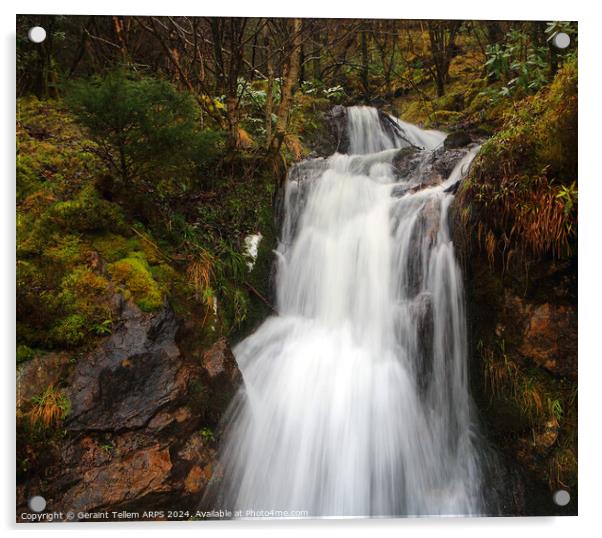 Waterfall, Assynt, Highland, Scotland Acrylic by Geraint Tellem ARPS