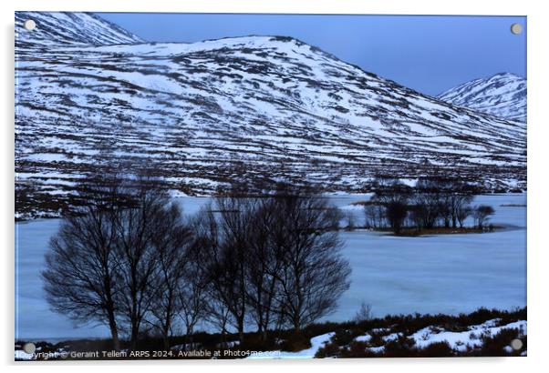 Assynt, Highland, Scotland Acrylic by Geraint Tellem ARPS
