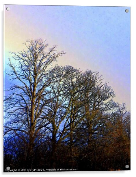 TREE'S IN WINTER RAIN Acrylic by dale rys (LP)