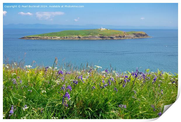 Llyn Peninsula Coast in Summer Wales Print by Pearl Bucknall