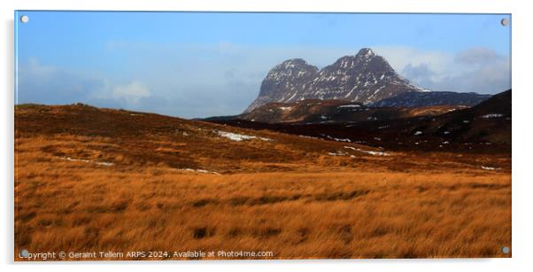 Suilven mountain, Assynt, Highland, Scotland Acrylic by Geraint Tellem ARPS
