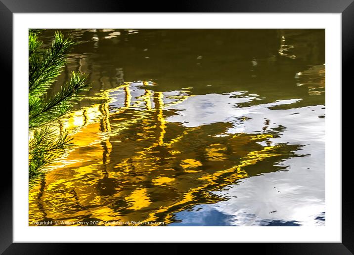 Water Reflection Abstract Garden Kinkaku-Ji Golden Temple Japan Framed Mounted Print by William Perry
