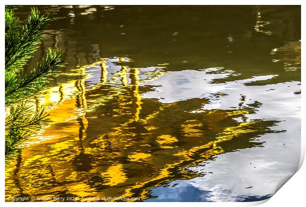 Water Reflection Abstract Garden Kinkaku-Ji Golden Temple Japan Print by William Perry