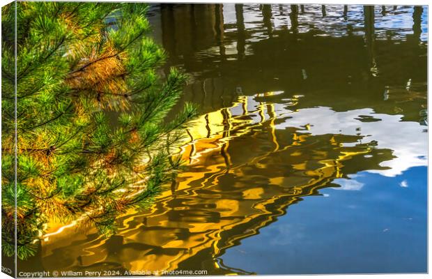 Pine Tree Water Reflection Garden Kinkaku-Ji Golden Pavilion TKy Canvas Print by William Perry