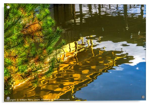 Pine Tree Water Reflection Garden Kinkaku-Ji Golden Pavilion TKy Acrylic by William Perry