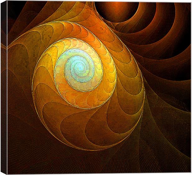 Golden Spiral Canvas Print by Amanda Moore
