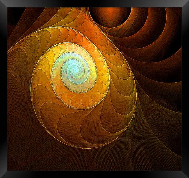 Golden Spiral Framed Print by Amanda Moore