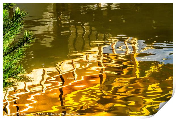 Water Reflection Garden Kinkaku-Ji Golden Pavilion Temple Kyoto  Print by William Perry