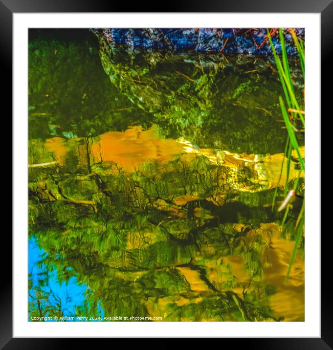Pine Tree Water Reflection Garden Kinkaku-Ji Golden Pavilion TKy Framed Mounted Print by William Perry