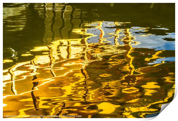 Water Reflection Garden Kinkaku-Ji Golden Pavilion Temple Kyoto  Print by William Perry