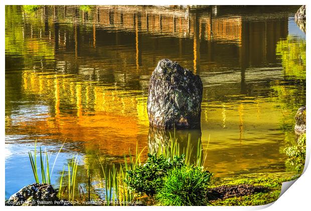 Water Reflection Garden Kinkaku-Ji Golden Pavilion Temple Kyoto  Print by William Perry