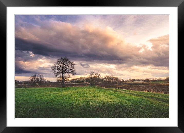 Somewhere between winter and summer in the field Framed Mounted Print by Dejan Travica