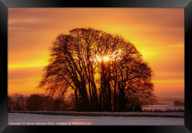 tree silhouettes at sunrise Framed Print by Simon Johnson