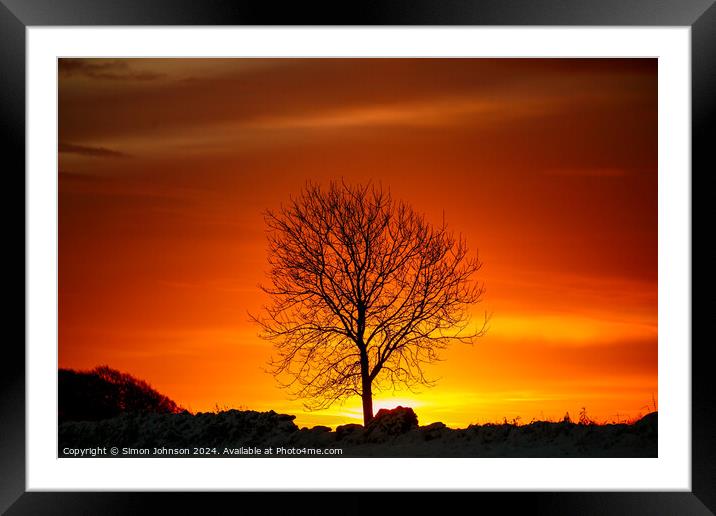 tree silhouette  at sunrise Framed Mounted Print by Simon Johnson