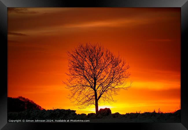 tree silhouette  at sunrise Framed Print by Simon Johnson