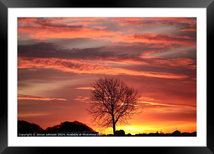 Tree silhouette  at Sunrise Framed Mounted Print by Simon Johnson