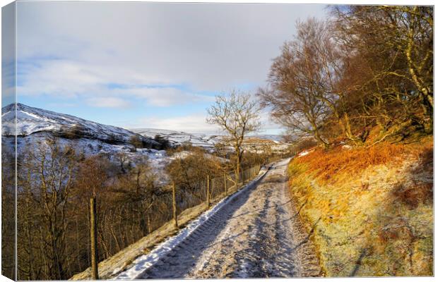 Muker To Keld Canvas Print by Steve Smith